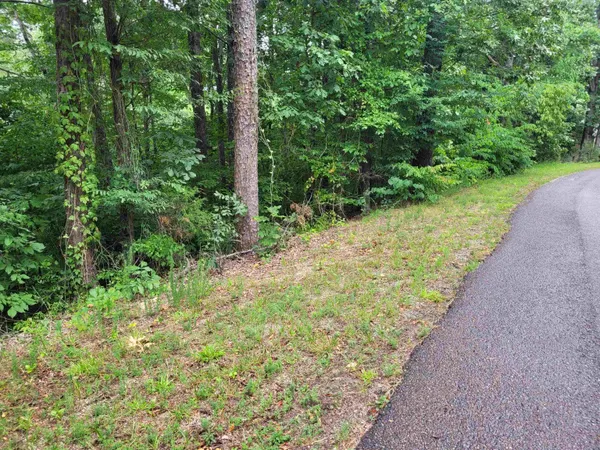 a view of a garden with plants