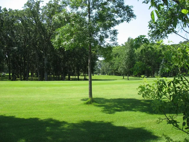 $34,000 | Lot 4-blk2 Lot 4-blk2 285th Street, Battle Lake, MN 56515