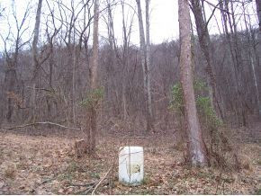 323 Little Germany Road Erwin, TN 37650 - Photo 3 of 4 Photo 3