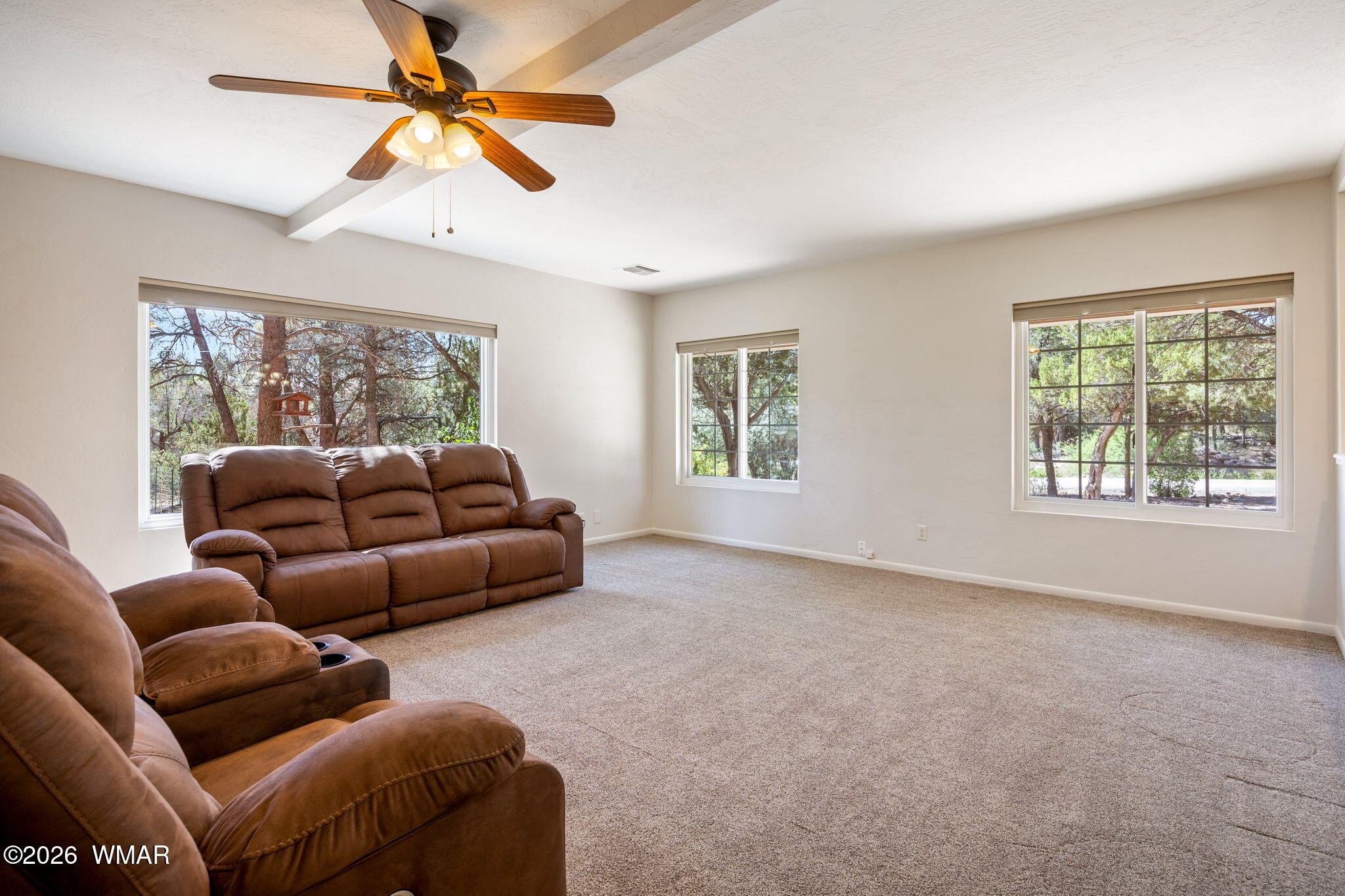 3130 Ranch Road Overgaard, AZ 85933 - Photo 6 of 35