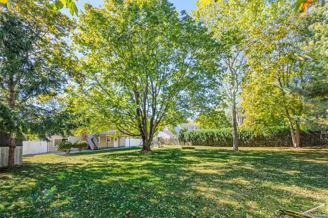 a view of a park with large trees