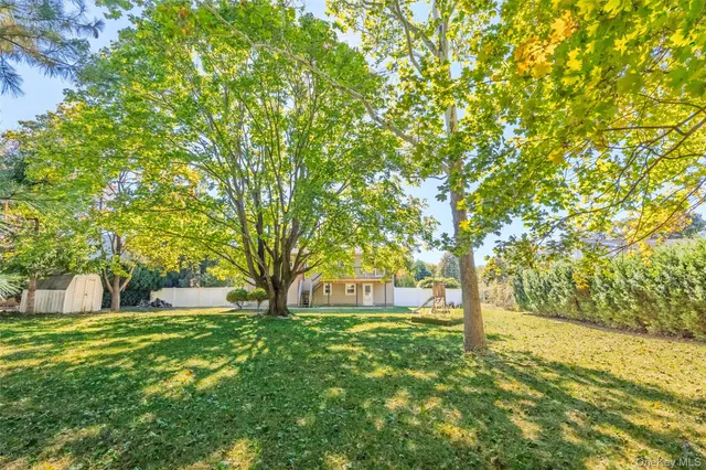a view of yard with tree