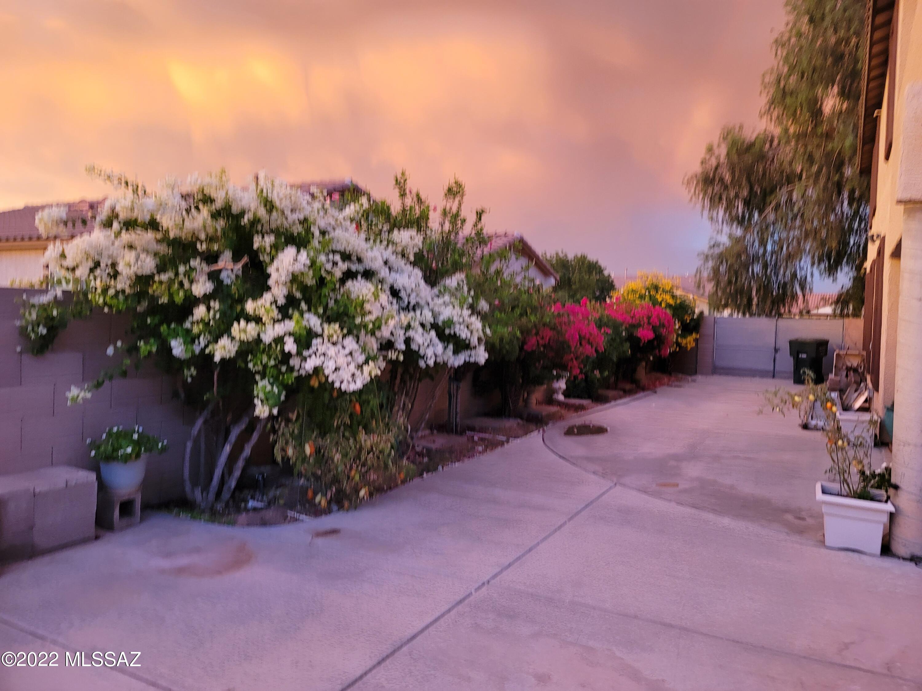6794 South Thimbleberry Road Tucson, AZ 85756 - Photo 39 of 50 Gallery Image 39