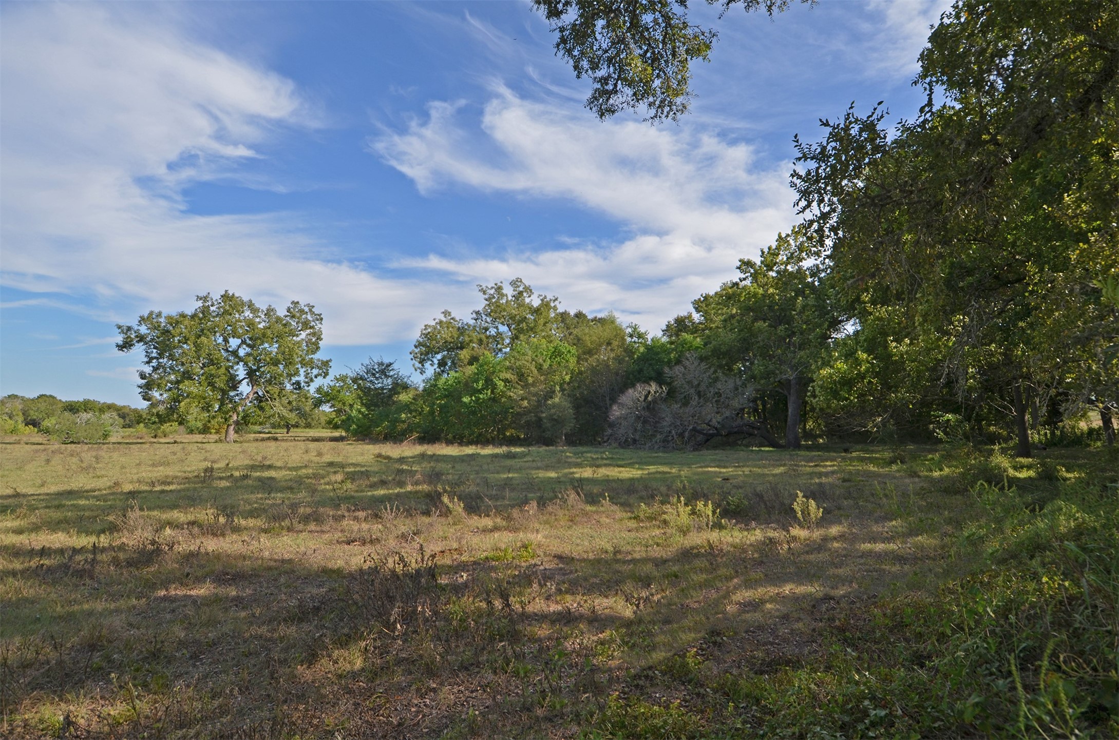 2352 Airport Road Brenham, TX 77833 - Photo 17 of 26 a view of a yard with an trees