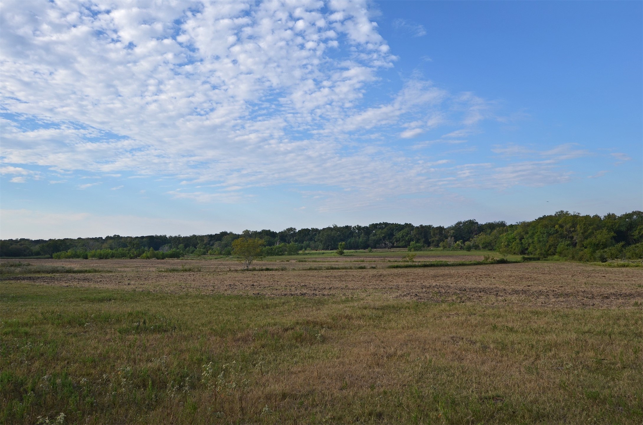 2352 Airport Road Brenham, TX 77833 - Photo 25 of 26 a view of lake and mountain view