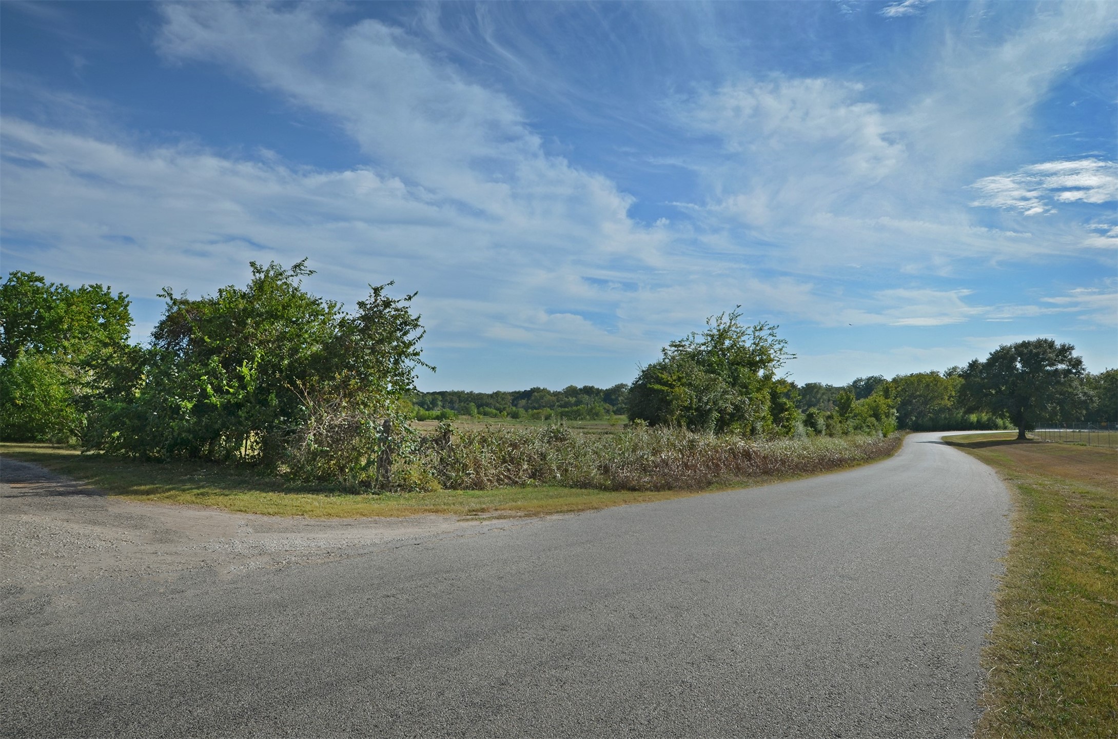 2352 Airport Road Brenham, TX 77833 - Photo 4 of 26 a view of a field with plants and trees