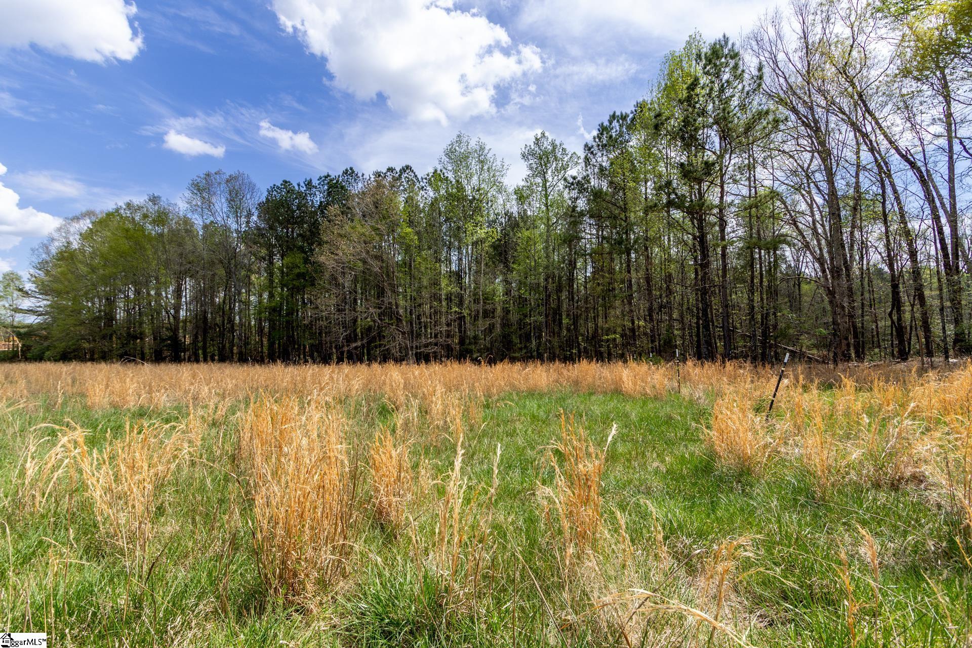 365 Old Bethel Road Moore, SC 29369 - Photo 22 of 50