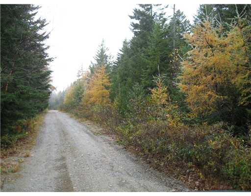 0 Big Moose Road Bass Harbor, ME 04653 - Photo 3 of 3 Land/Lot.