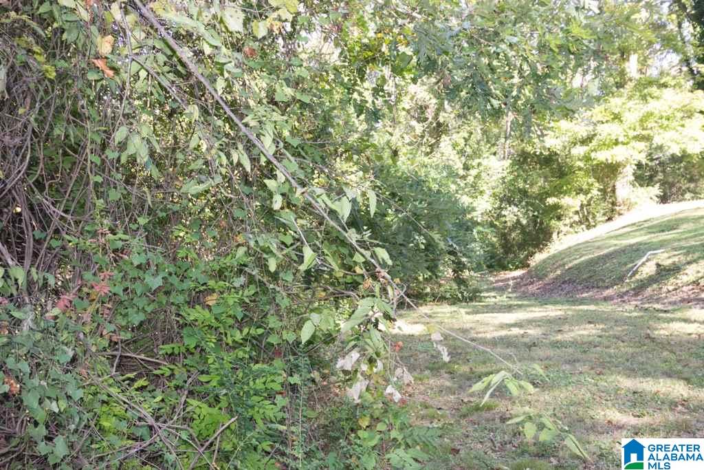 359 Jewell Road, Unit 1 73 Oxford, AL 36203 - Photo 45 of 46