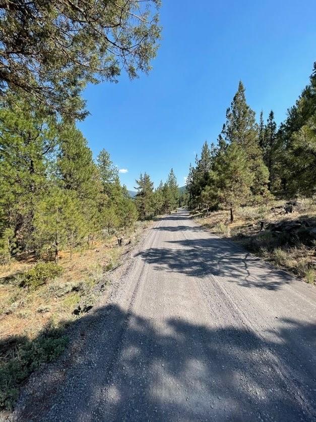 Simpson Canyon Road Klamath Falls, OR 97601 - Photo 10 of 13 s11