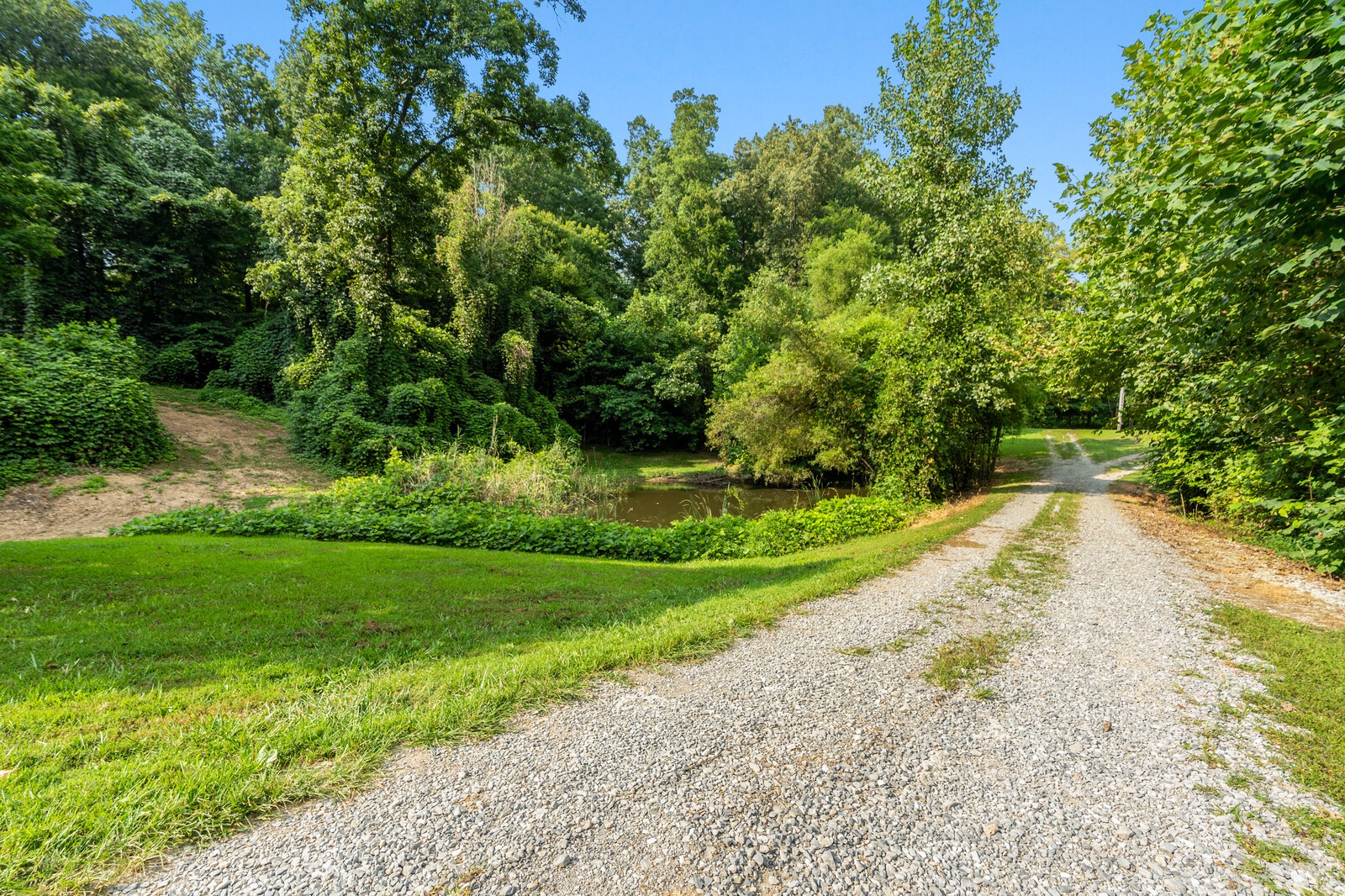 1036 North Corinth Road Portland, TN 37148 - Photo 41 of 43 a view of a backyard with green space