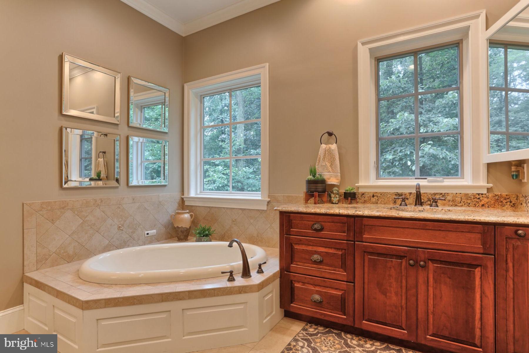 773 Mine Road Lebanon, PA 17042 - Photo 38 of 90 Master Bath View 2
