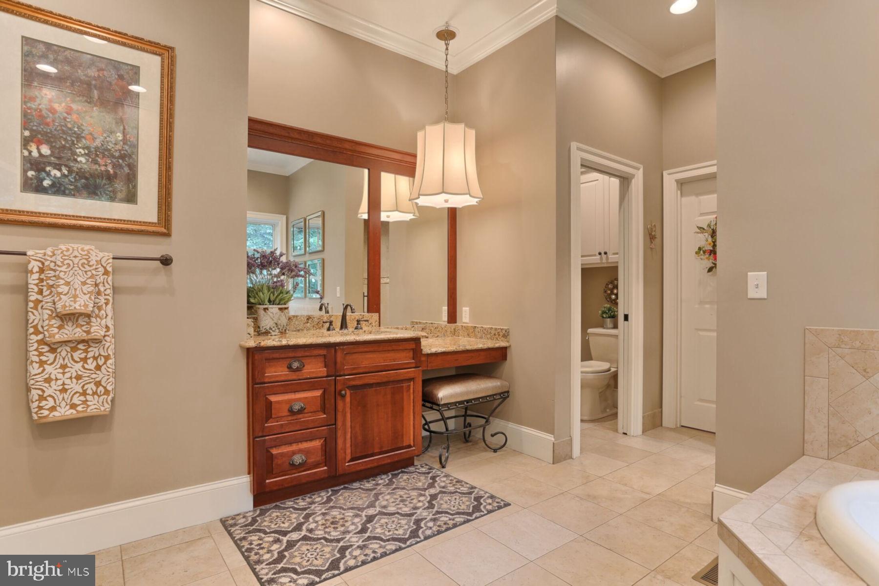 773 Mine Road Lebanon, PA 17042 - Photo 39 of 90 Master Bath View 3