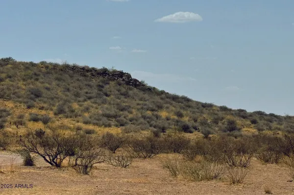 a view of a dry yard with mountains in the background