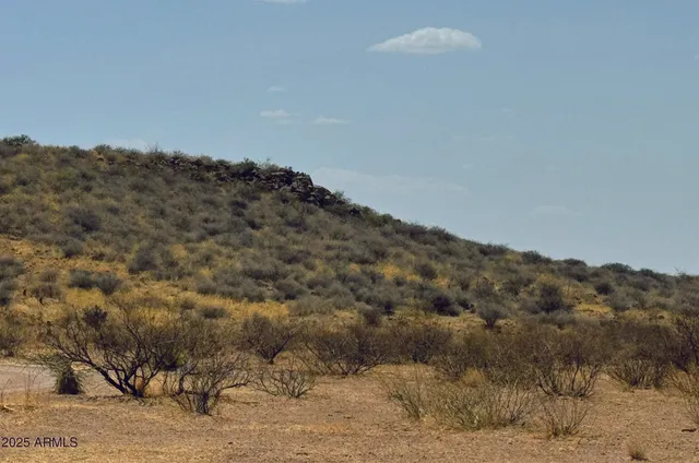 a view of a dry yard with mountains in the background