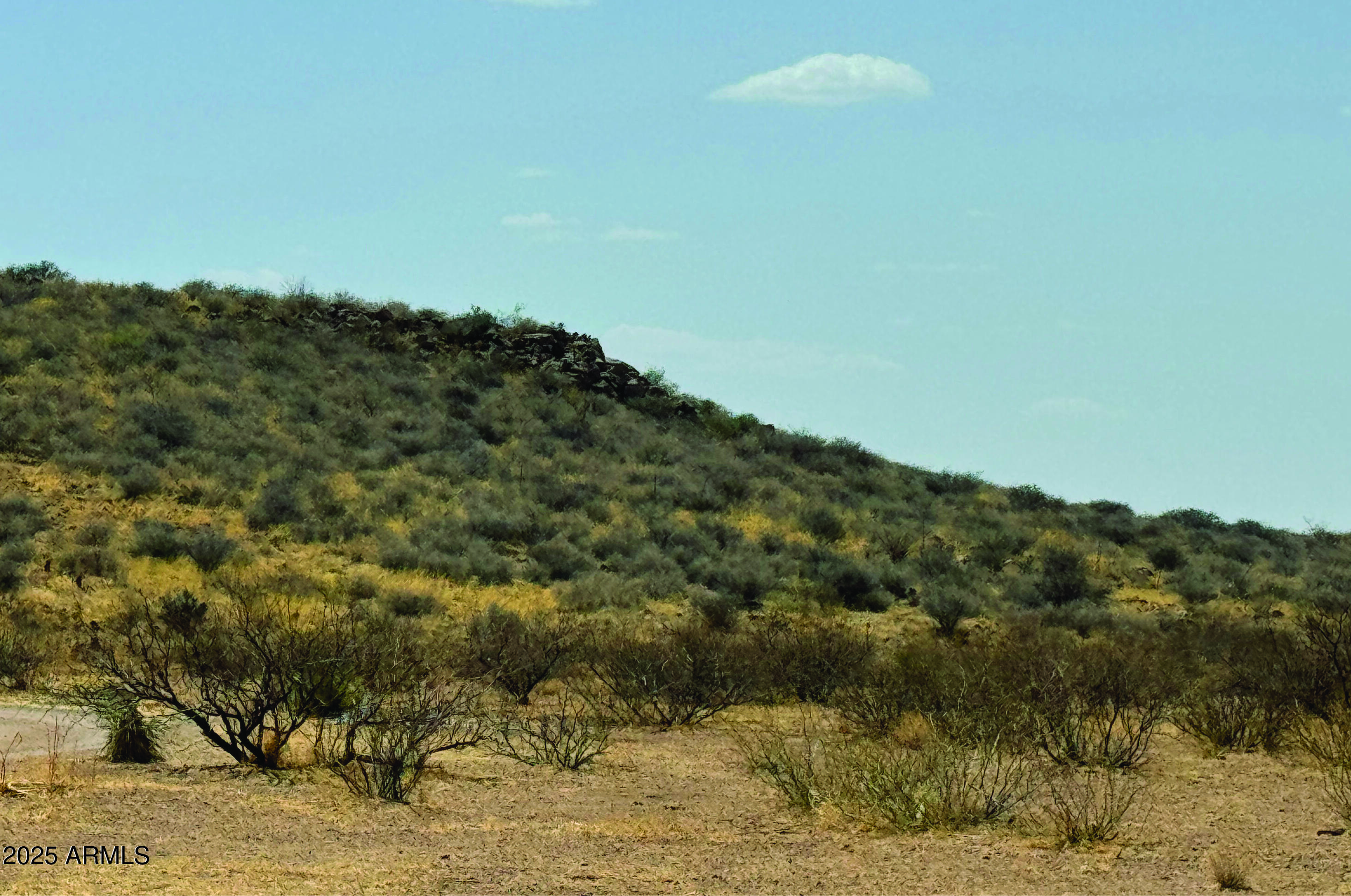a view of a dry yard with mountains in the background