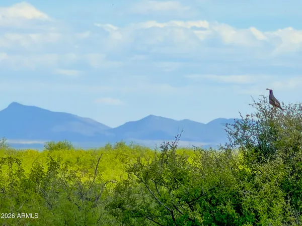 $37,000 | 39 South Acres Willcox Az 85643, Willcox, AZ 85643