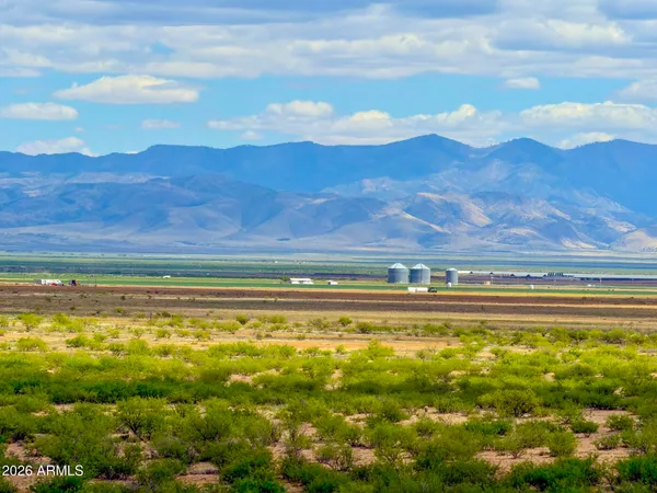 a view of a field with a tree in the background