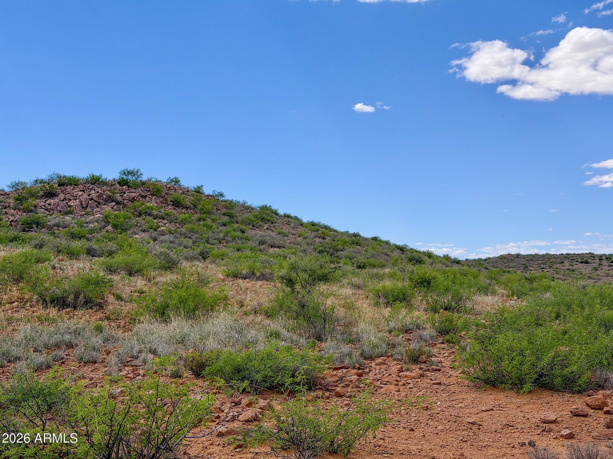 39 South Acres Willcox Az 85643 Willcox, AZ 85643 - Photo 11 of 26 IMG_0294