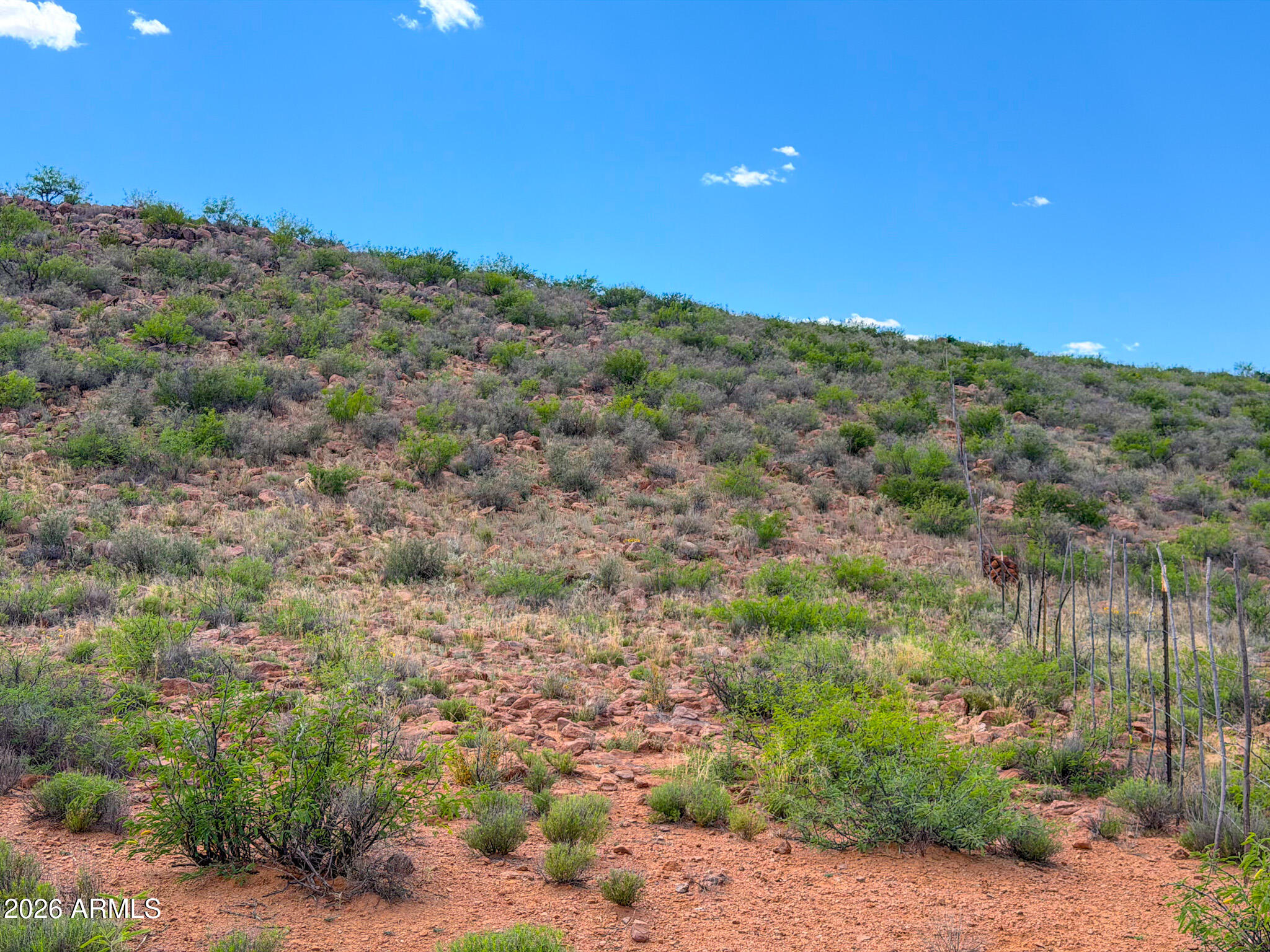 39 South Acres Willcox Az 85643 Willcox, AZ 85643 - Photo 12 of 26 IMG_0297