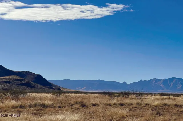a view of a large tree with a mountain in the background