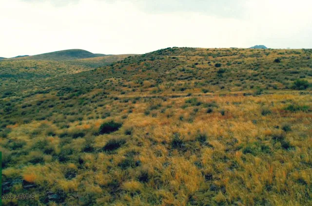 a view of a mountain range with lush green forest