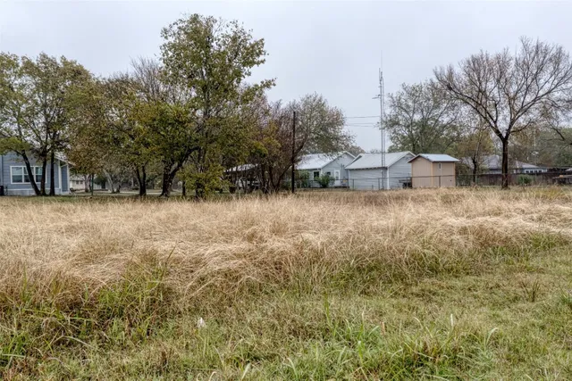 a view of a dry yard with trees