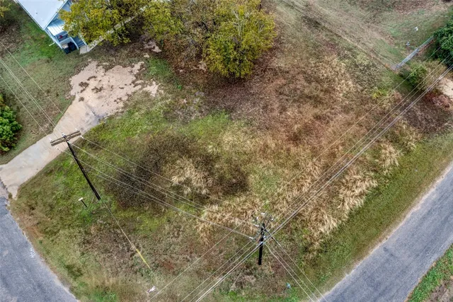 a view of a yard with plants