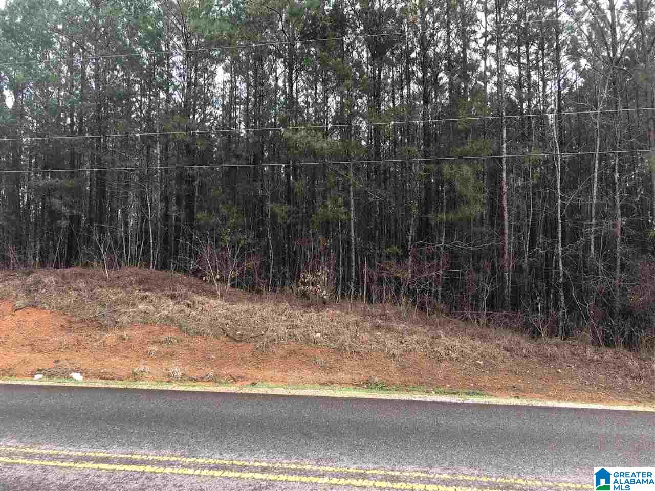 Lot 26 Crisstown Road, Unit 26 Vance, AL 35490 - Photo 4 of 5