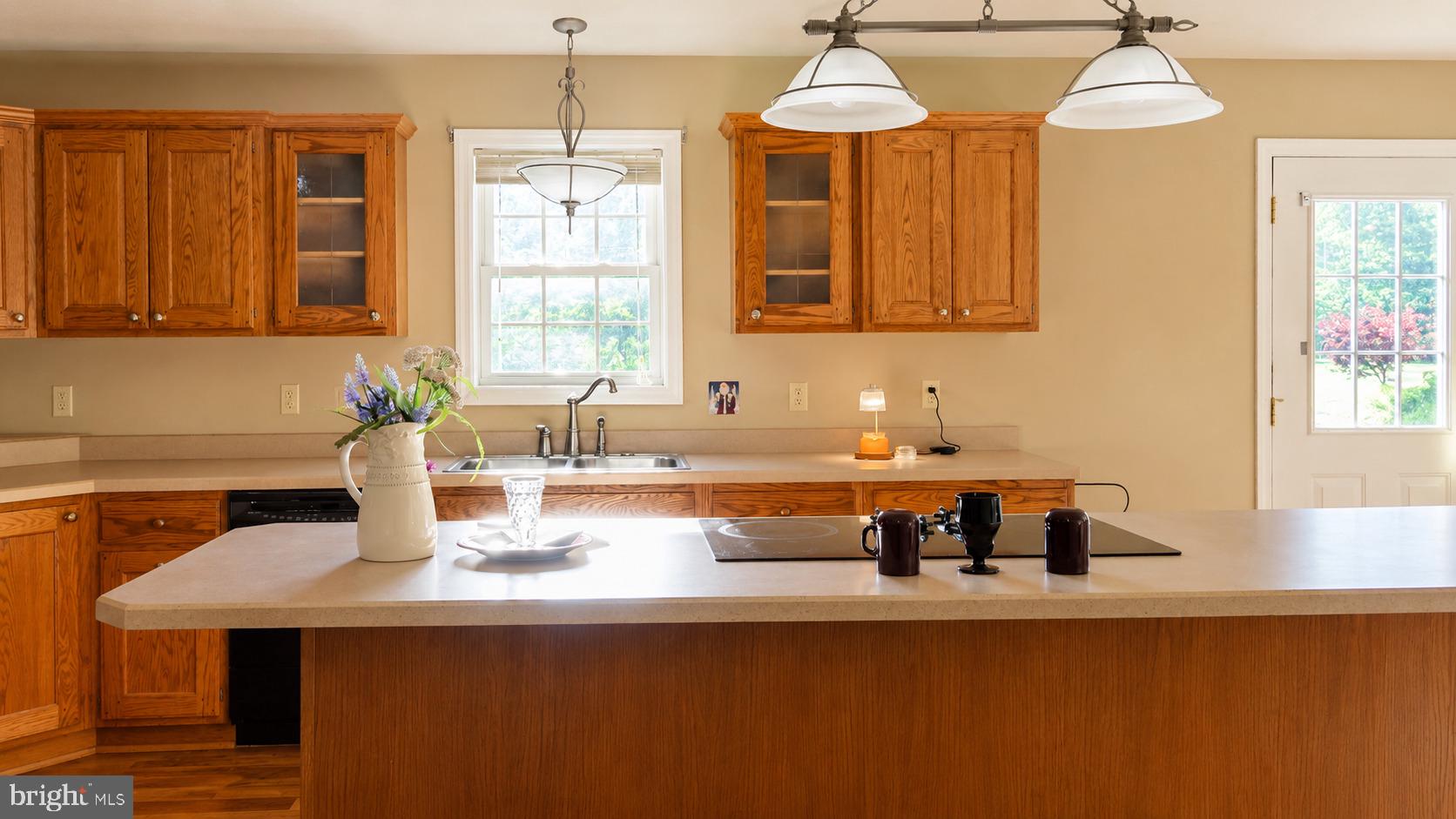 1009 1st Fork Road Jersey Shore, PA 17740 - Photo 21 of 116