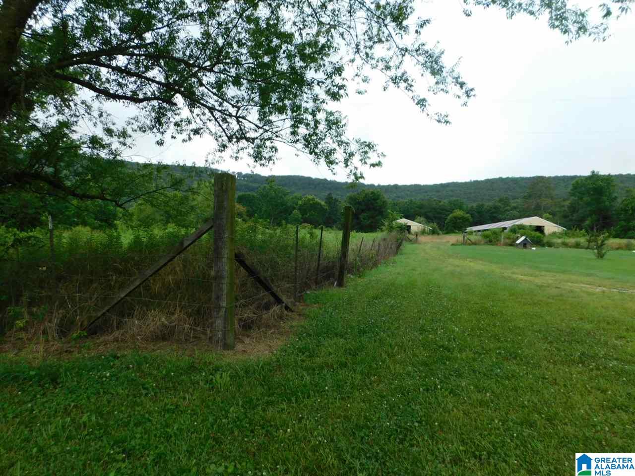 0 Pleasant Valley Road, Unit 1 Gallant, AL 35972 - Photo 1 of 6