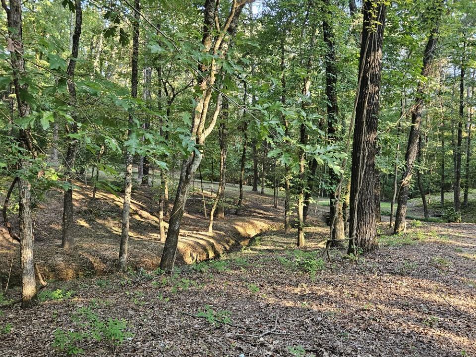 7105 Rodessa Ida Road Ida, LA 71044 - Photo 25 of 40 a backyard of a house with lots of green space