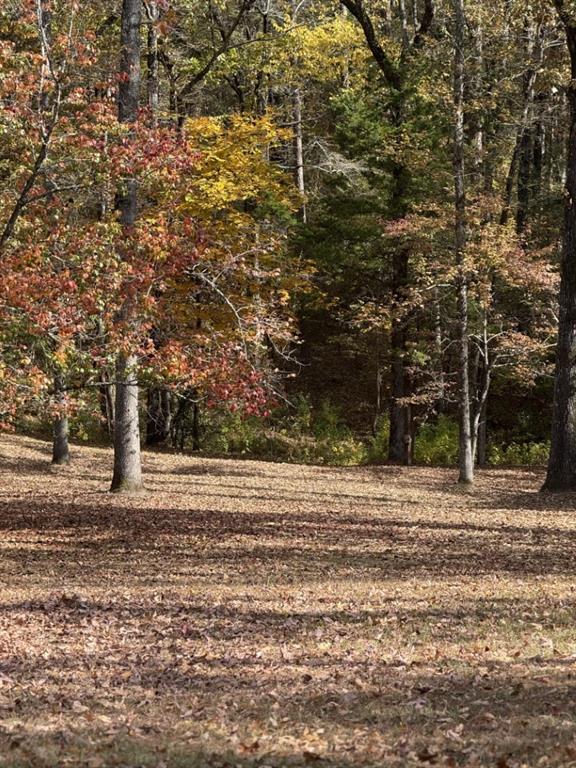 7105 Rodessa Ida Road Ida, LA 71044 - Photo 39 of 40 a view of a yard with a house