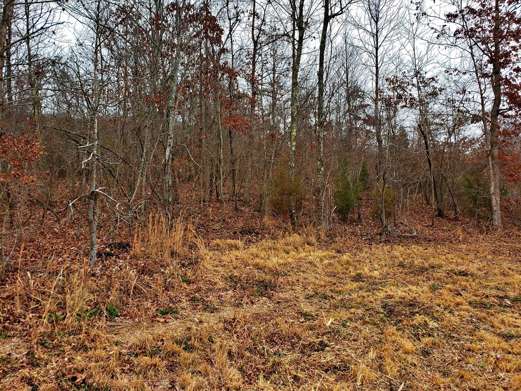 742 Rayl Hollow Road Decatur, TN 37322 - Photo 9 of 14 Gallery Image 9