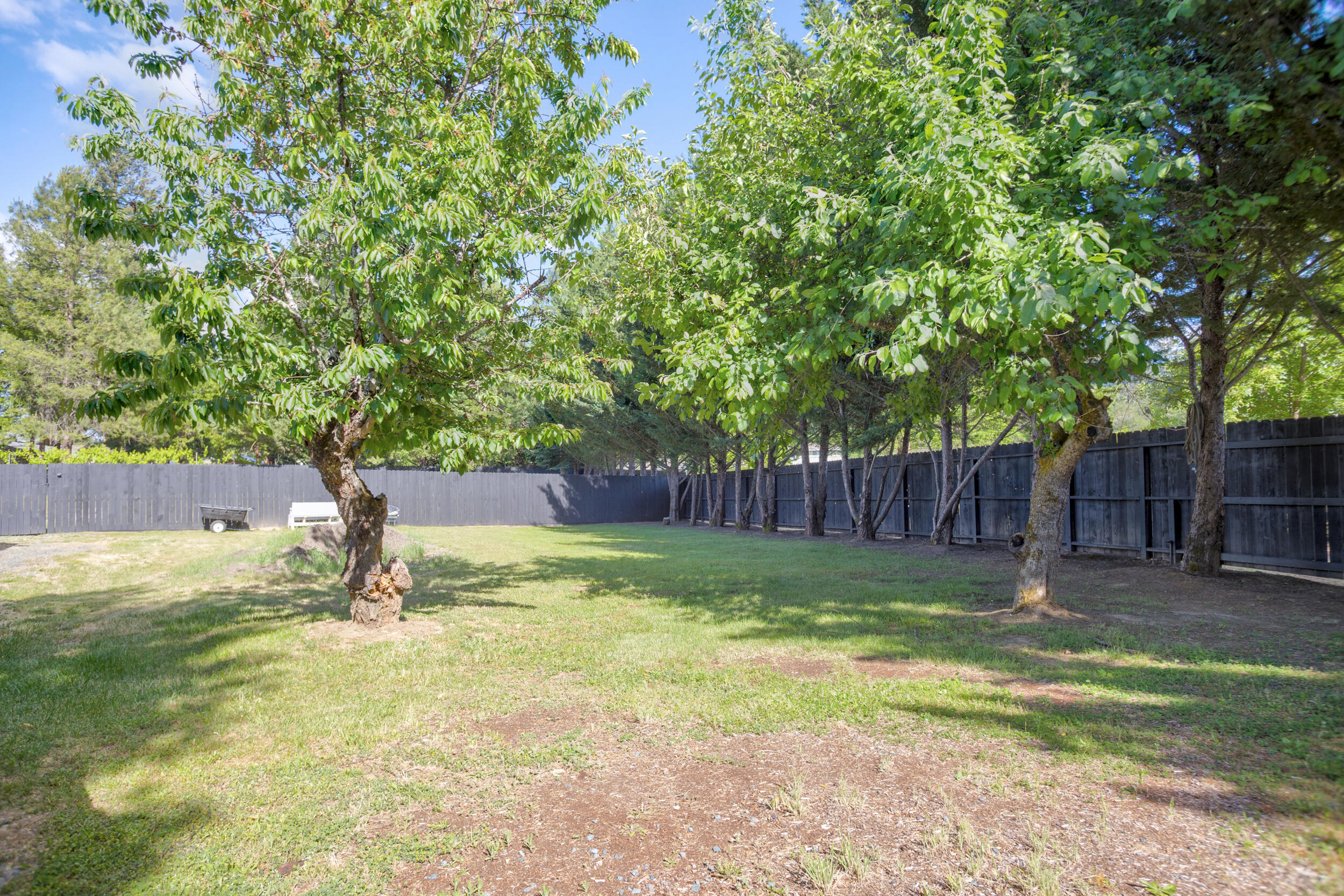 255 Queens Branch Road Rogue River, OR 97537 - Photo 39 of 60 a view of a yard with a slide