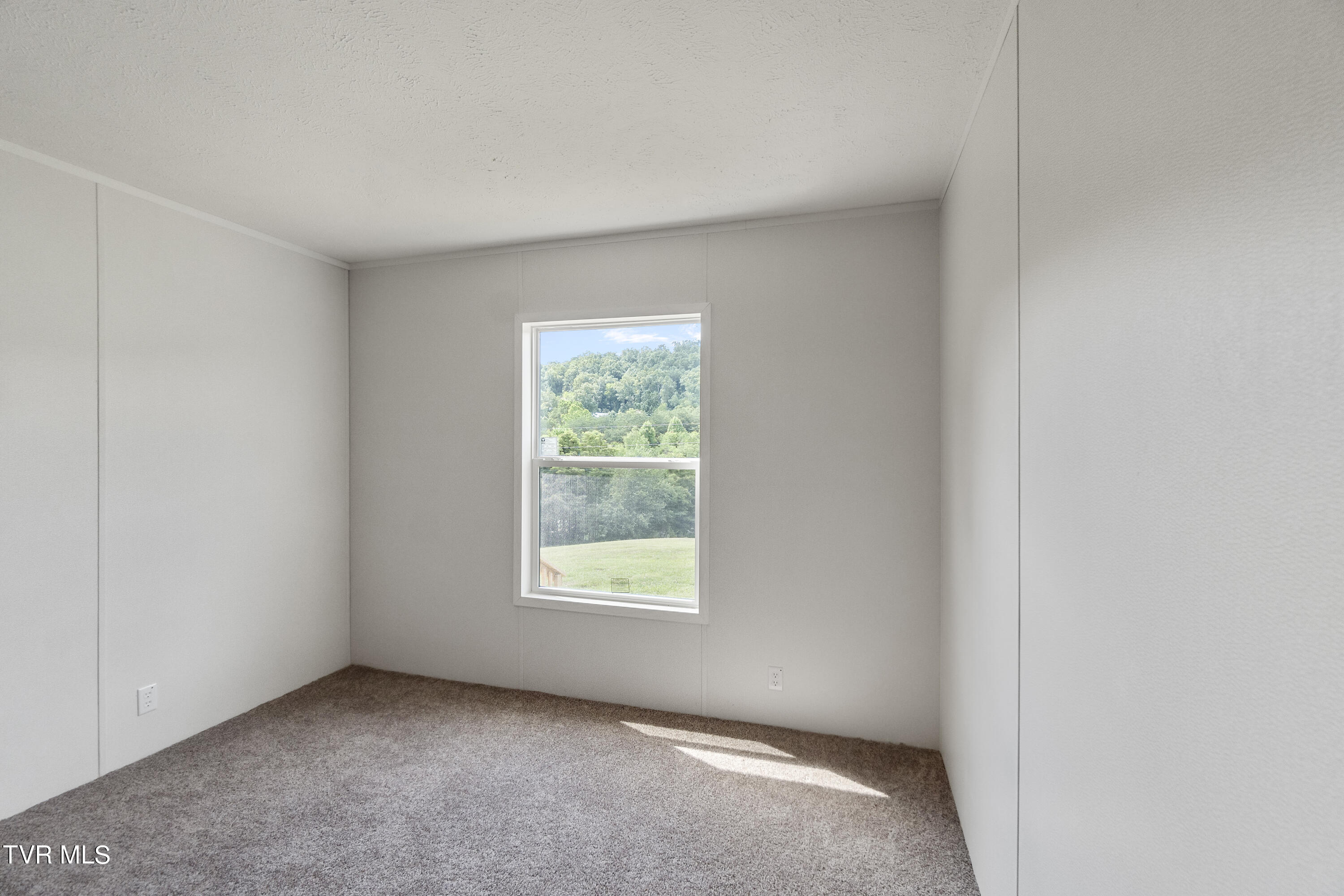 1895 Shakerag Road Greeneville, TN 37743 - Photo 40 of 51 DSC03422