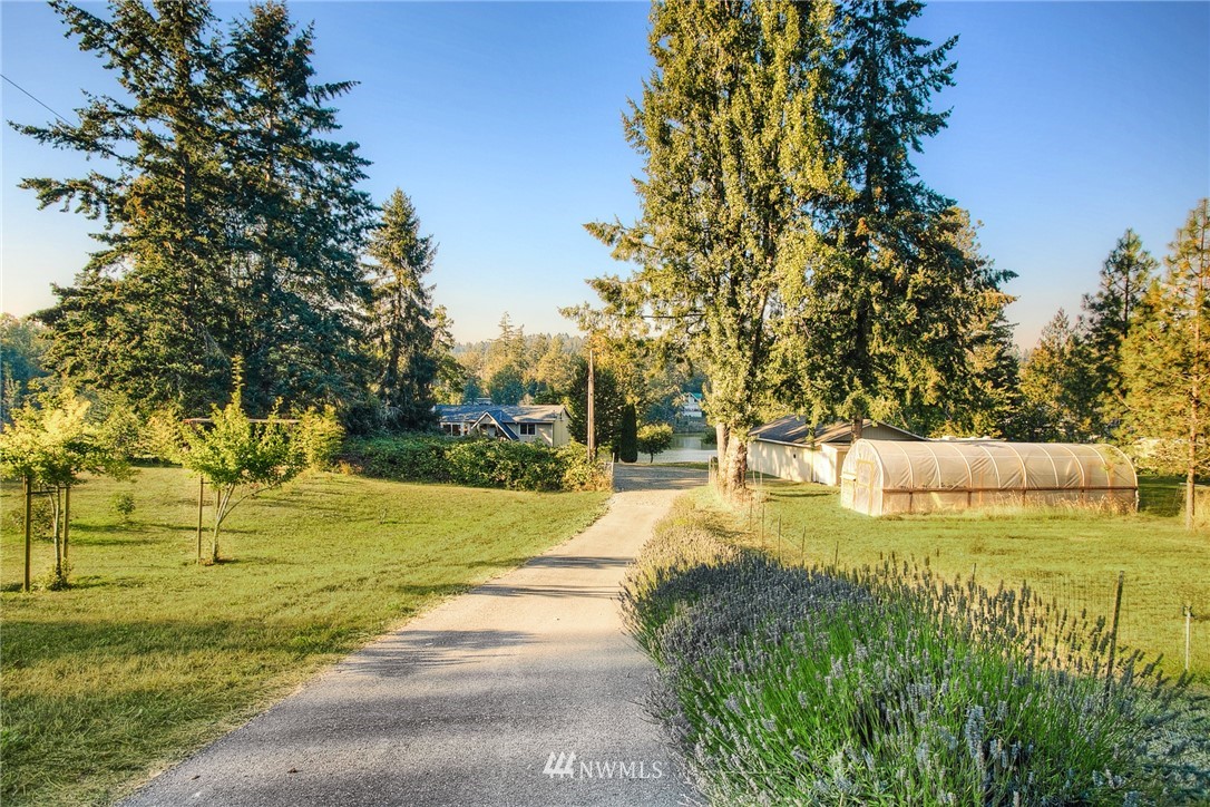 19605 Whiteman Cove Road Southwest Lakebay, WA 98351 - Photo 27 of 40 a view of yard with swimming pool