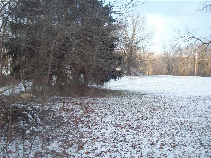 265 Herman Road Fombell, PA 16123 - Photo 6 of 24 Yard/Garden.