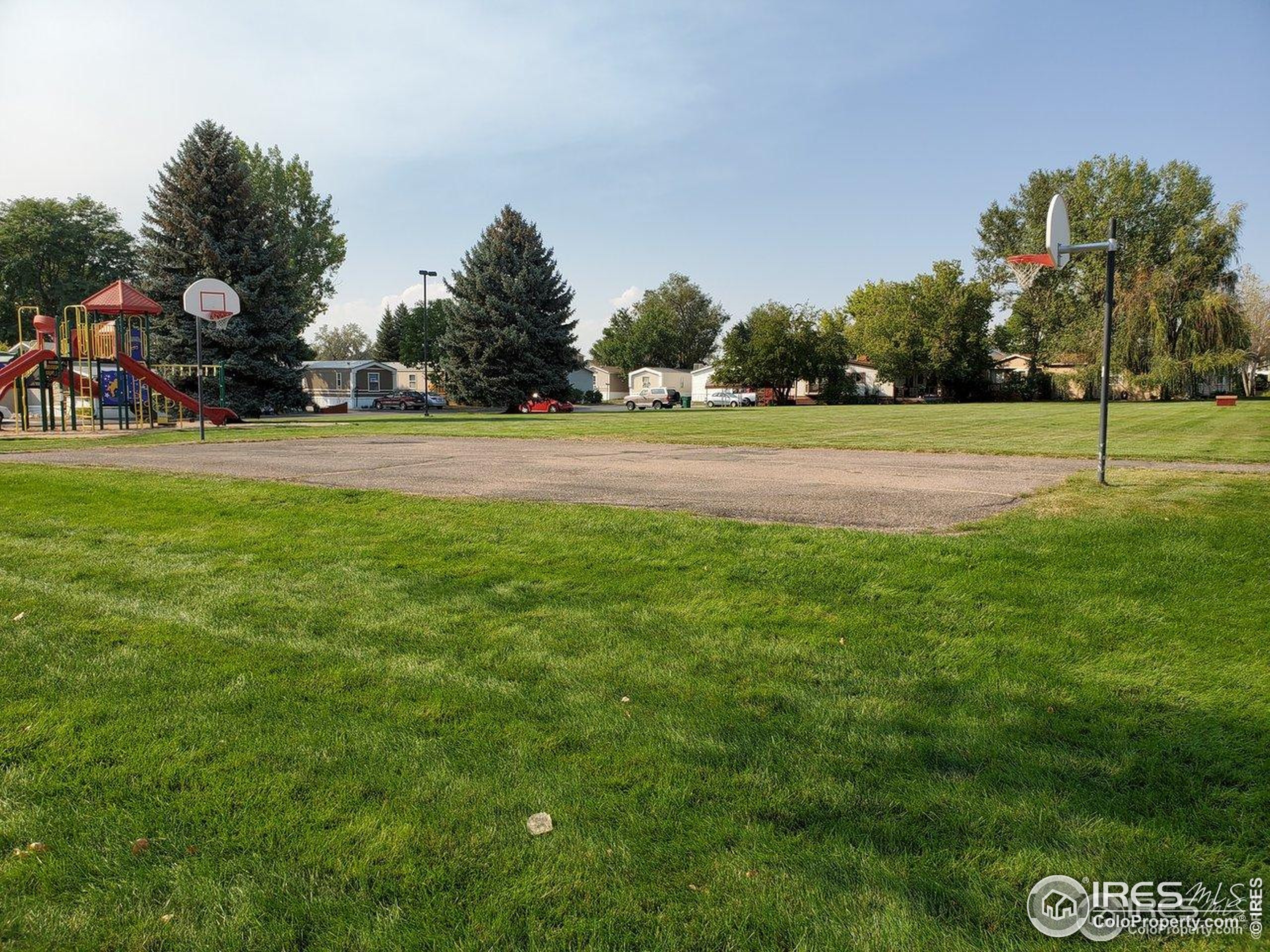605 West 57th Street, Unit 42 Loveland, CO 80538 - Photo 34 of 38 a view of green field