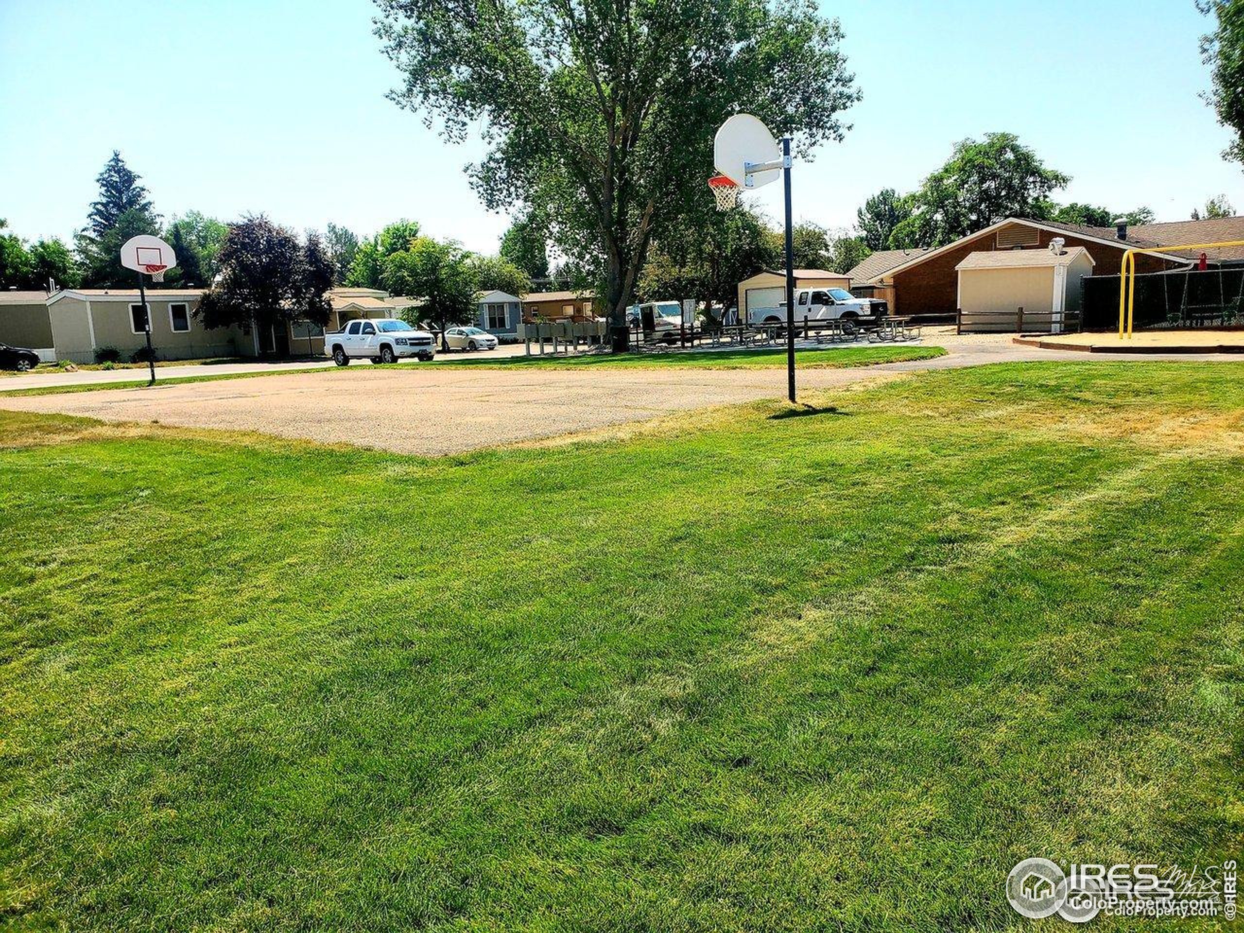 605 West 57th Street, Unit 42 Loveland, CO 80538 - Photo 35 of 38 a swimming pool with lots of tress in front of it
