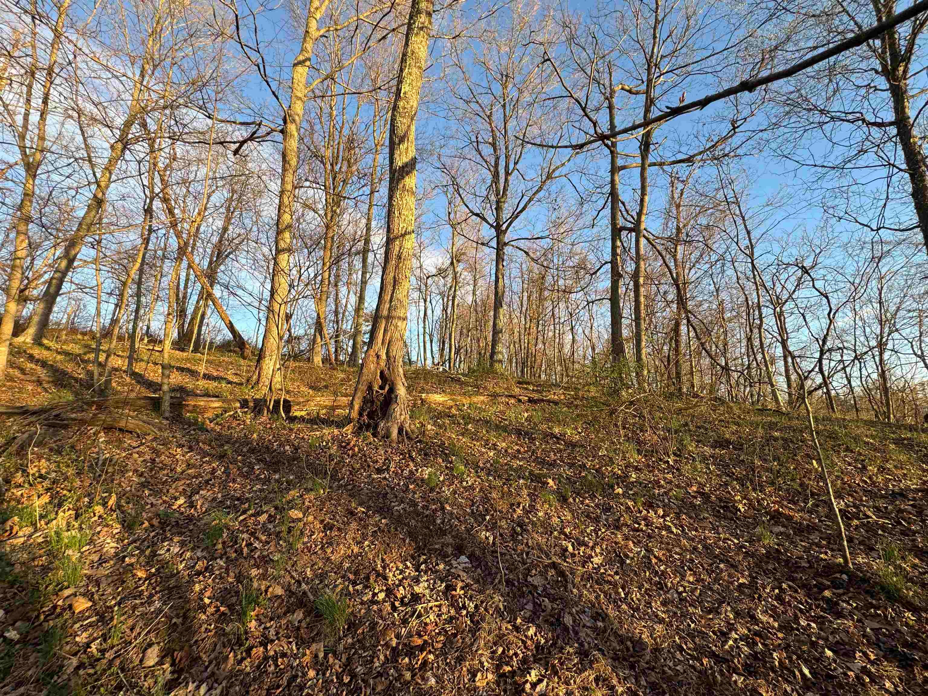 0 Co Road Proctorville, OH 45669 - Photo 26 of 27 Gallery Image 26