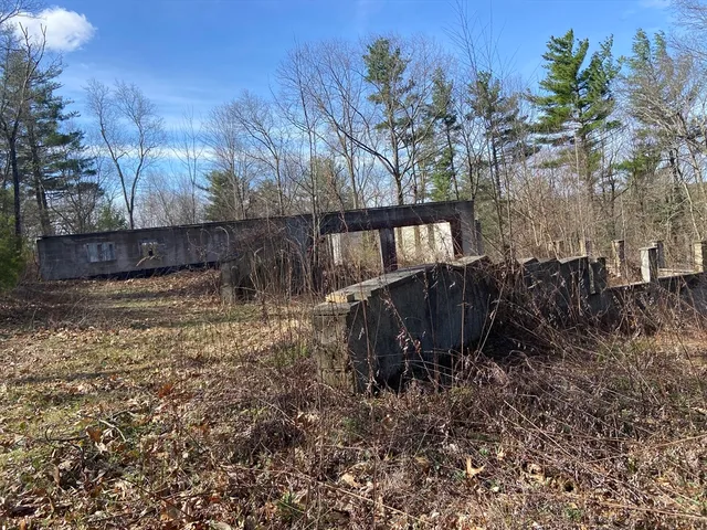 a view of a backyard of the house