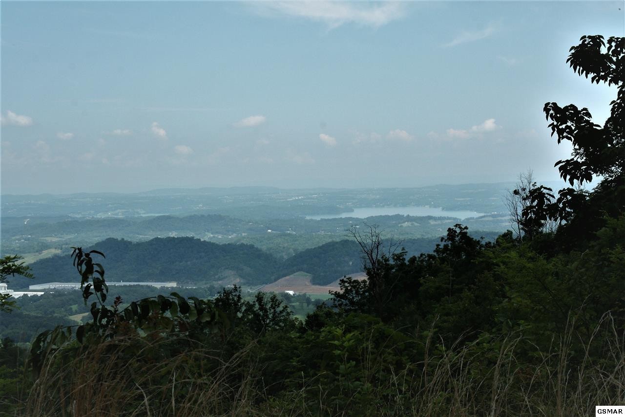 0 Collier Loop Dandridge, TN 37725 - Photo 3 of 35 Gallery Image 3