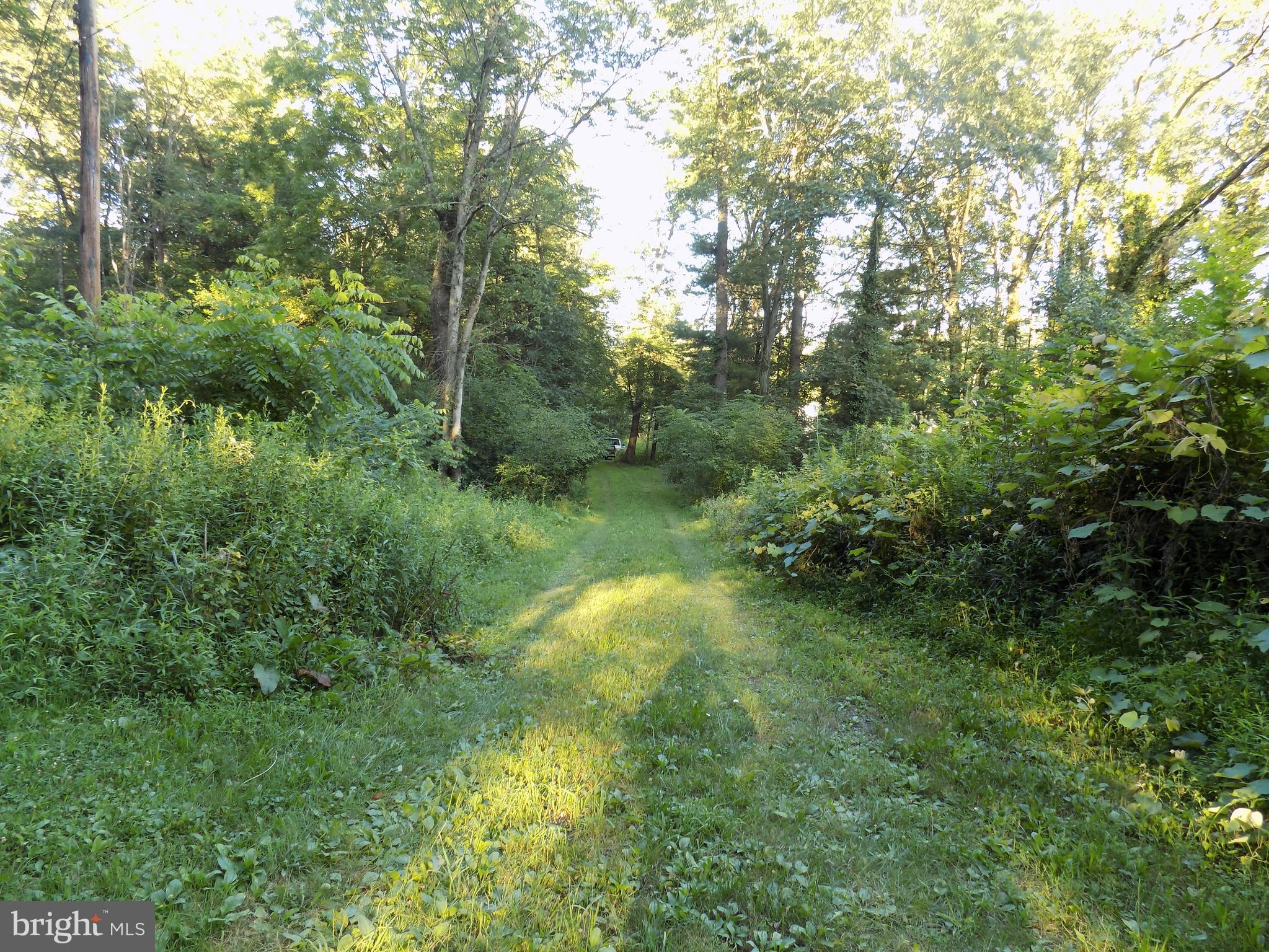 0 Green Street Tremont, PA 17981 - Photo 11 of 16