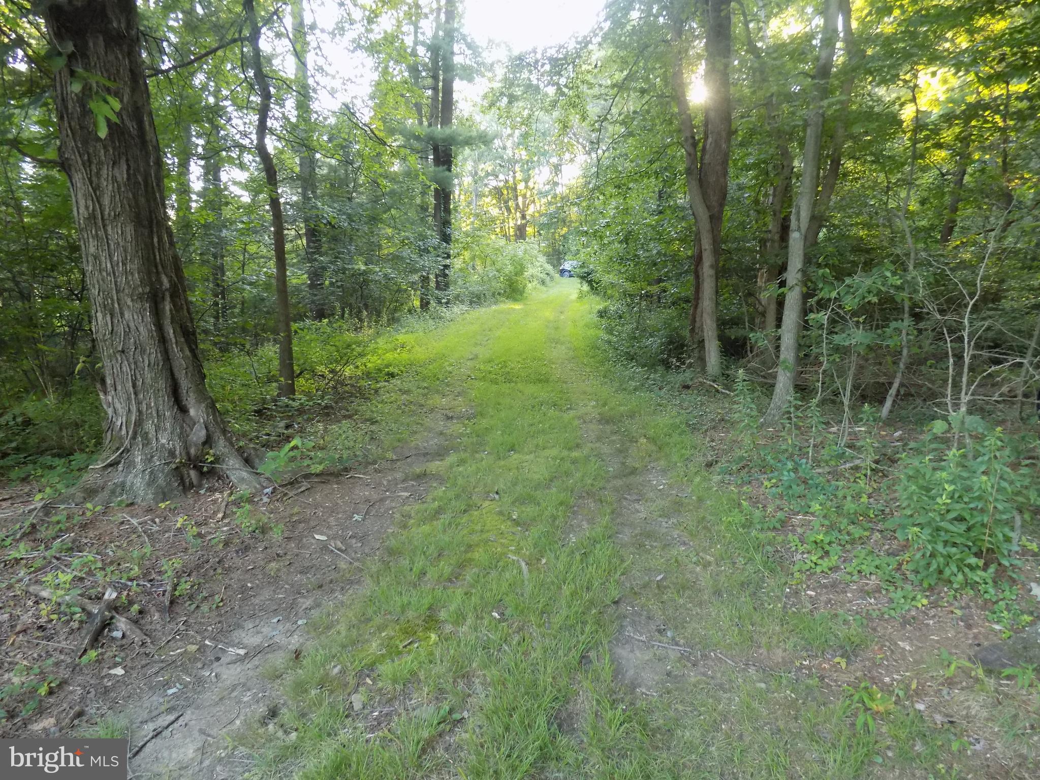 0 Green Street Tremont, PA 17981 - Photo 12 of 16