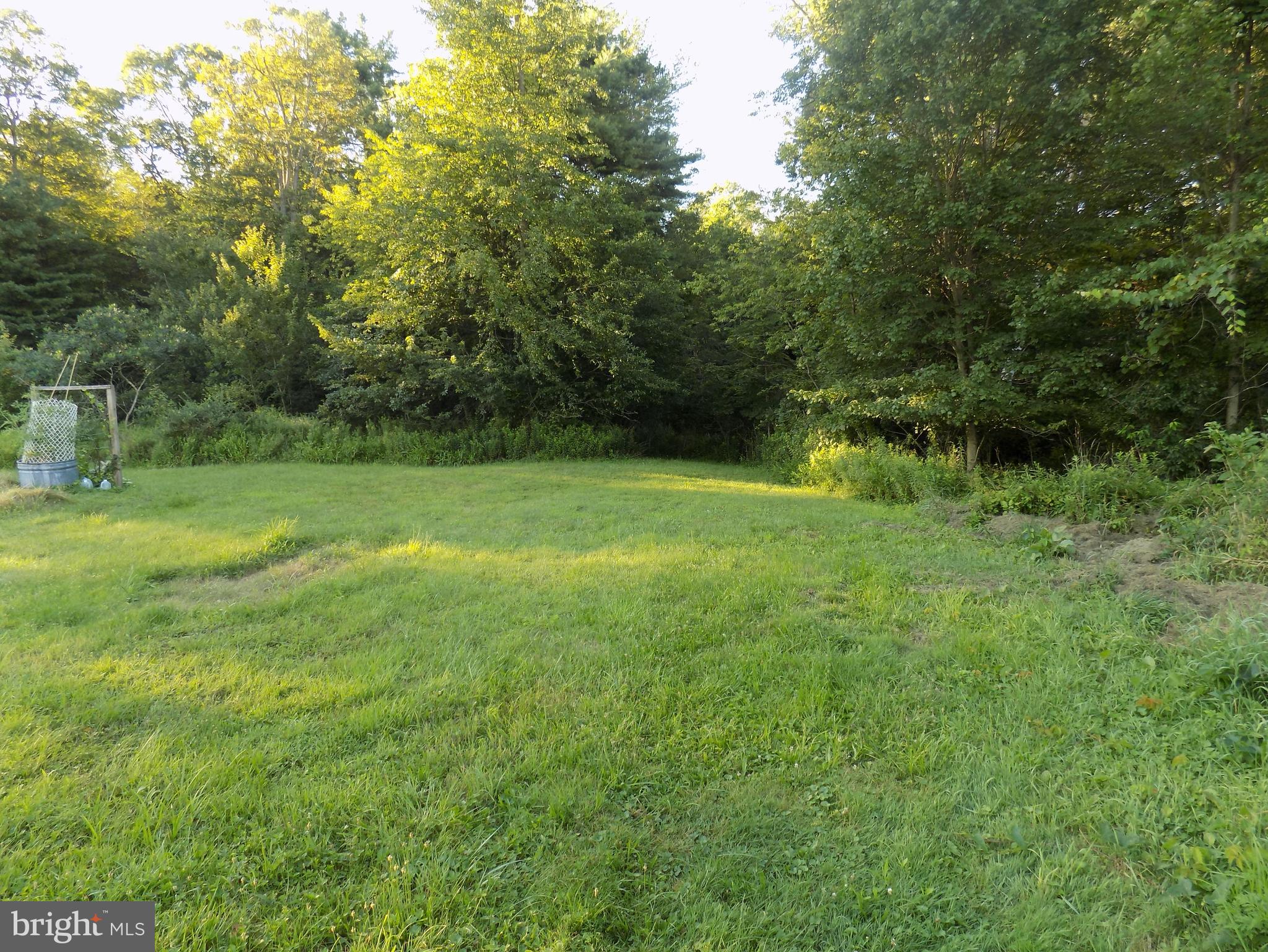 0 Green Street Tremont, PA 17981 - Photo 6 of 16