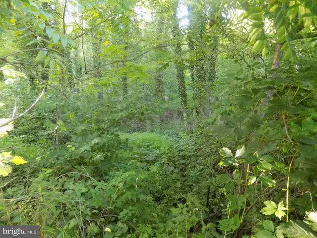 $55,000 | 0 Green Street, Tremont, PA 17981