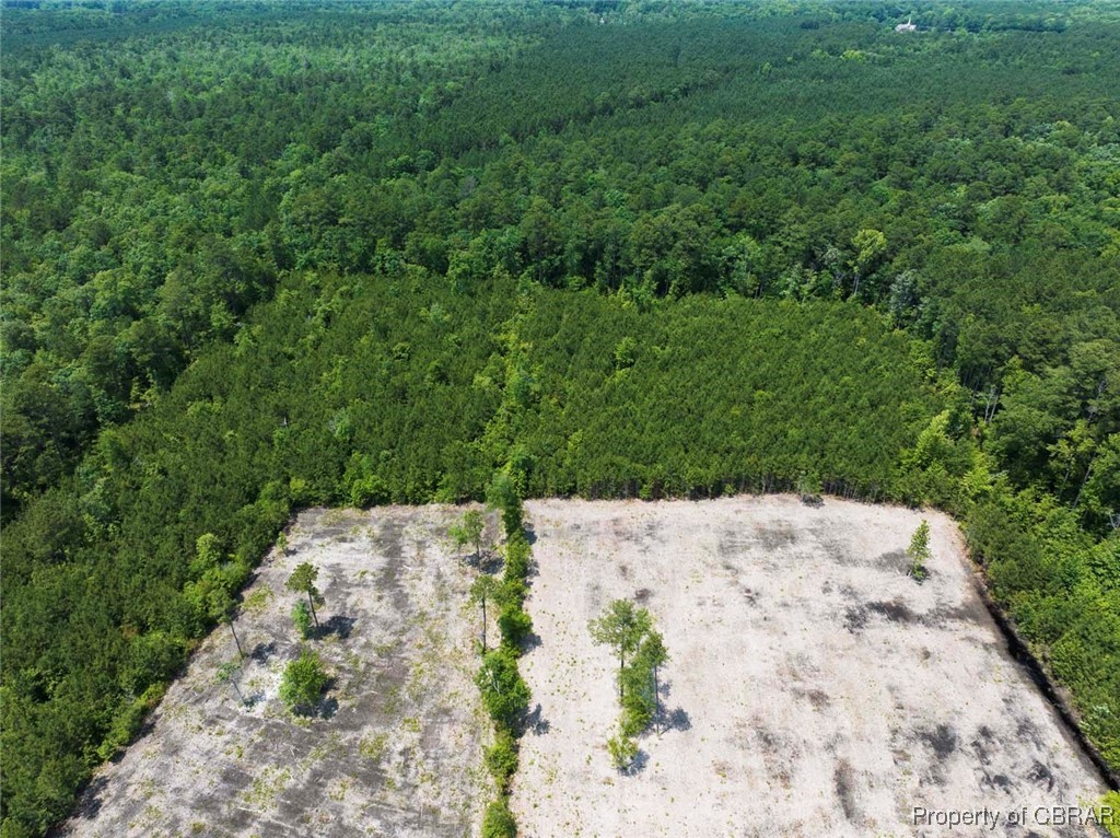 20-ac Ridge Road Cobbs Creek, VA 23035 - Photo 14 of 24