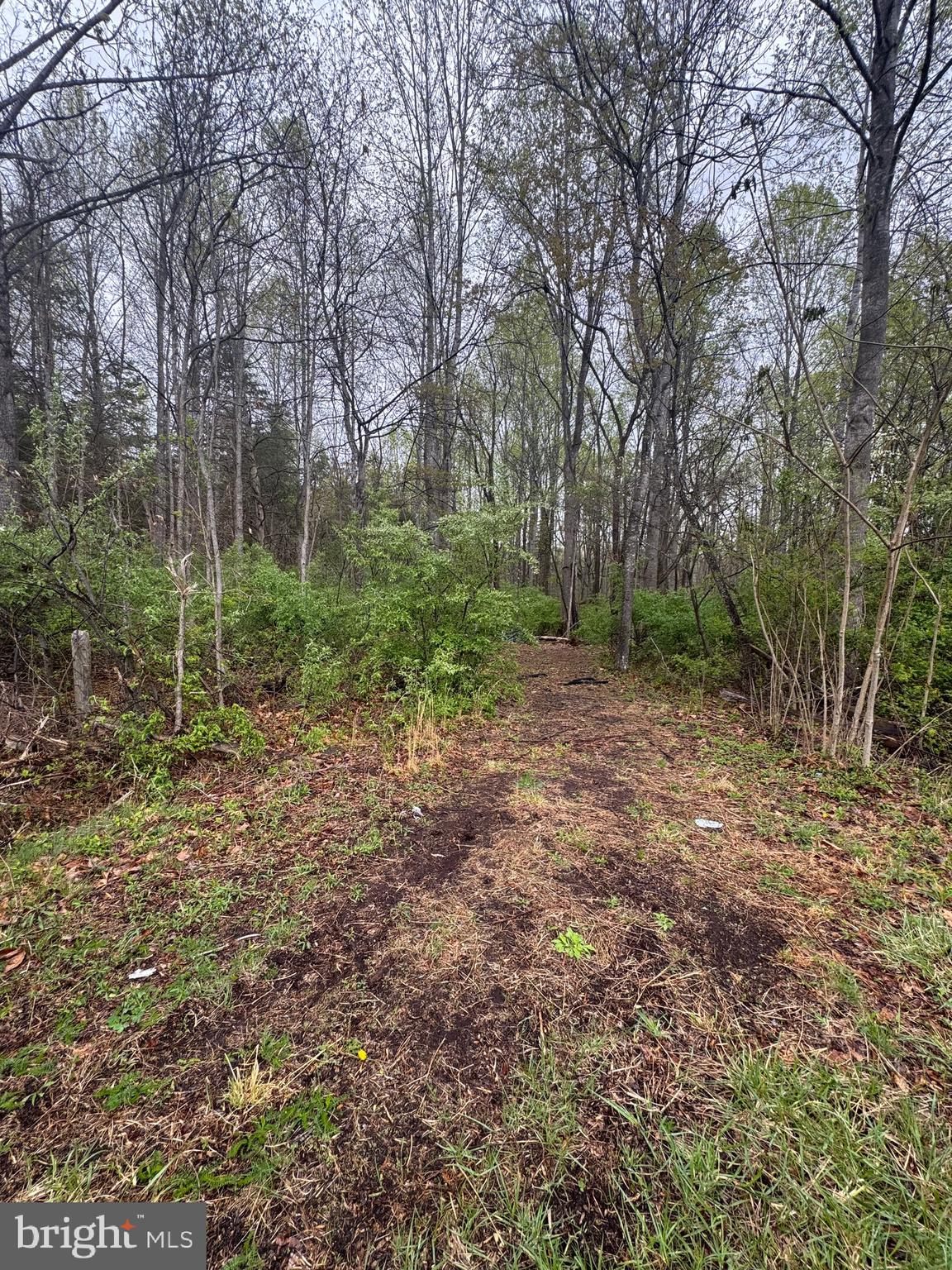 Old Stillhouse Road Culpeper, VA 22701 - Photo 1 of 6 Gallery Image 1