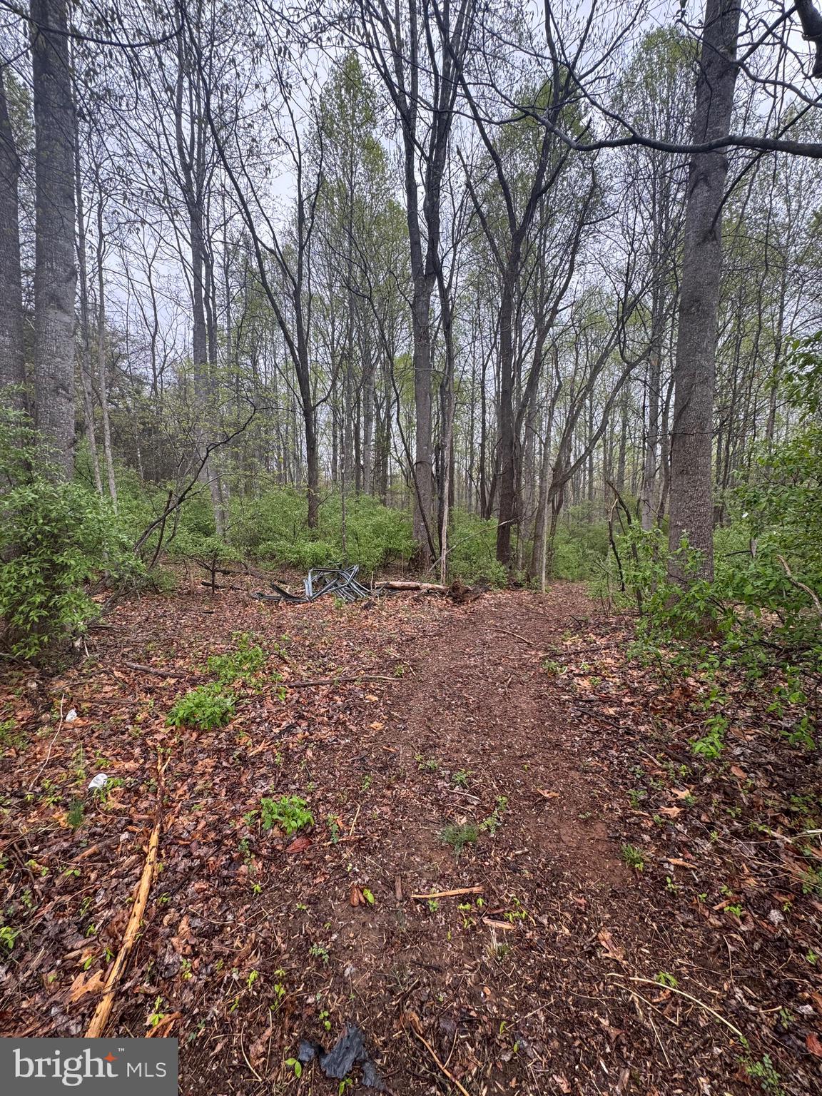 Old Stillhouse Road Culpeper, VA 22701 - Photo 3 of 6 Gallery Image 3